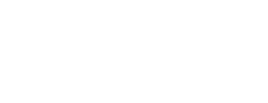 Novus Foods